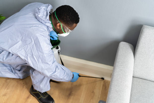 Best Real Estate Pest Inspections  in Chester, VA